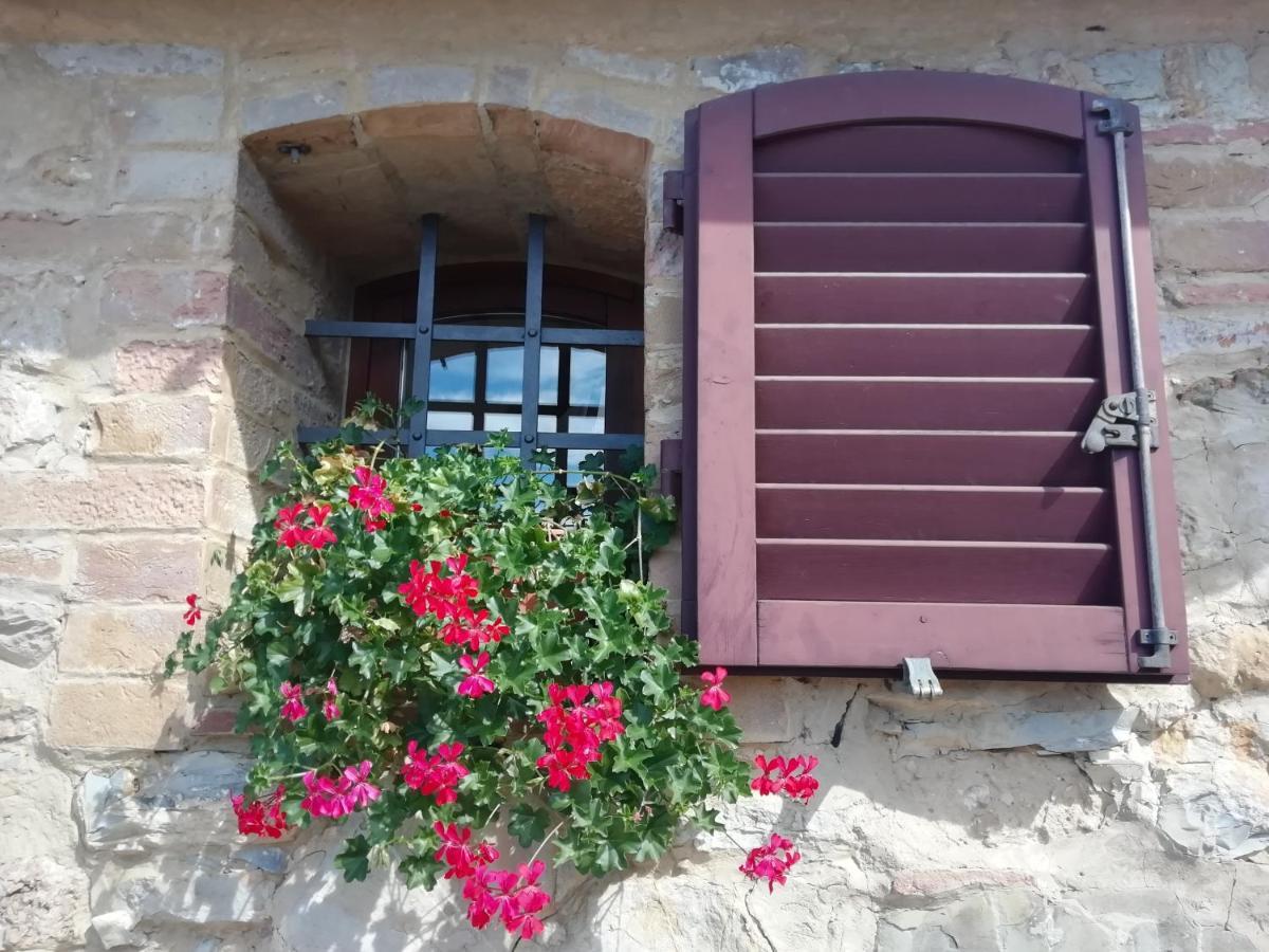 Poggio Massiccioli Apartment Поджибонси Екстериор снимка